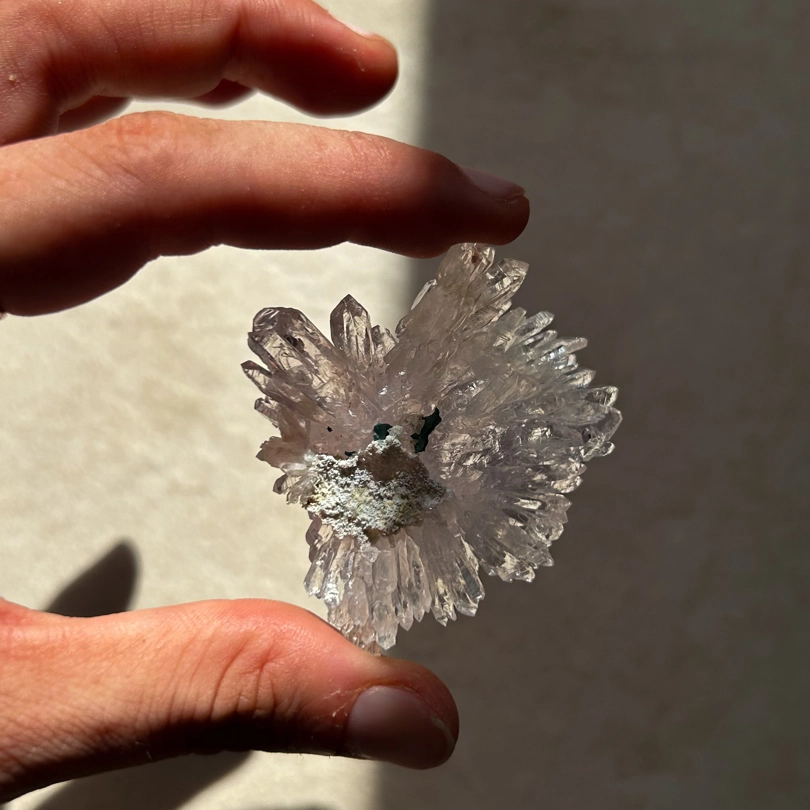 fiore di Ametista
